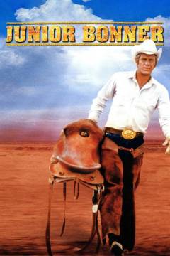 Film (dvd), 2003