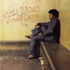 In the jungle groove
