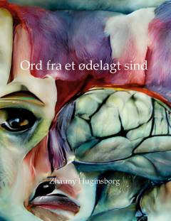 Ord fra et ødelagt sind : ord fra et sted inde bagved