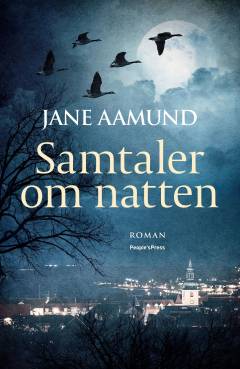 Samtaler om natten : erindringsroman