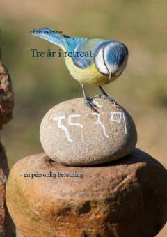 Tre år i retreat : en personlig beretning