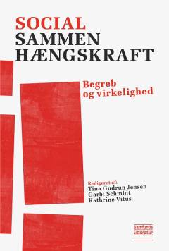 Social sammenhængskraft : begreb og virkelighed