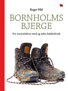 Bog, 1. udgave, 2018