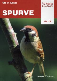 Bog, 1. udgave, 2010