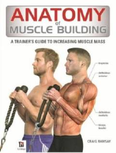 Anatomy of muscle building : a trainer's guide to increasing muscle mass