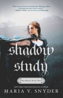 Shadow study
