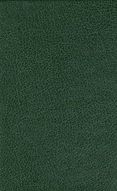 Bog, 1. udgave, 2009