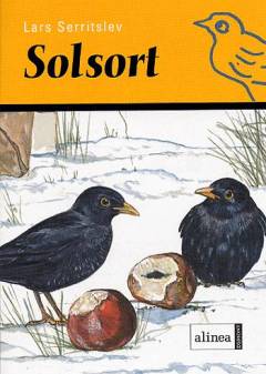 Solsort