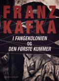 I fangekolonien - Den første kummer