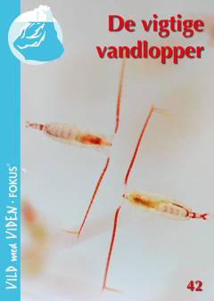 De vigtige vandlopper
