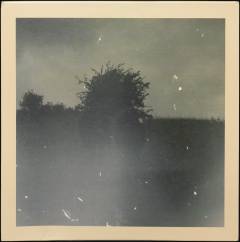 Musik (grammofonplade), 2016