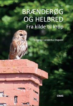 Brænderøg og helbred : fra kilde til krop