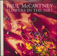Flowers in the dirt