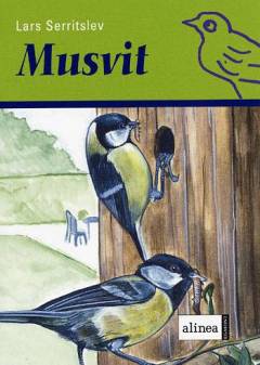 Musvit