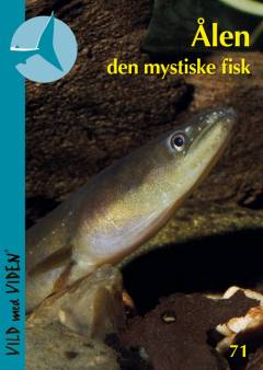 Ålen - den mystiske fisk