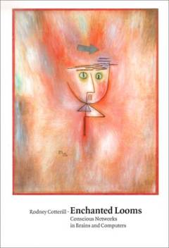 Enchanted looms : conscious networks in brains and computers