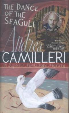 The dance of the seagull