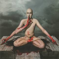 Musik (cd), ℗2008