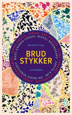 Brudstykker : noveller til unge