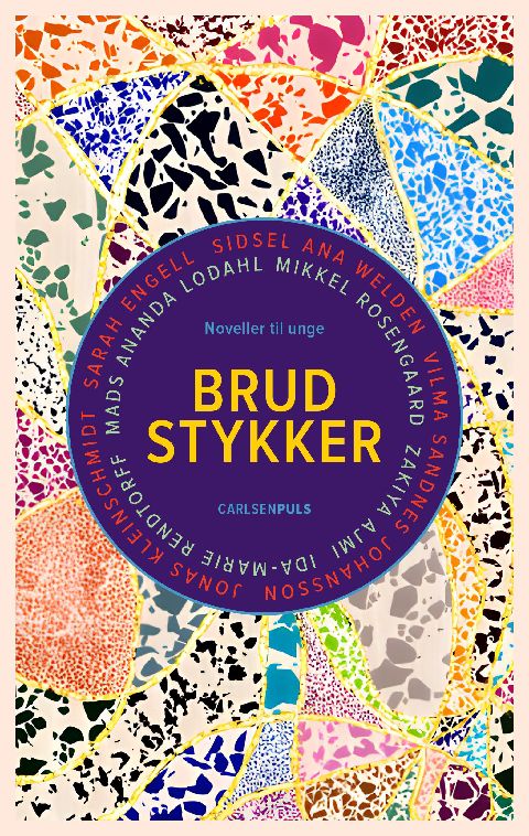 Brudstykker : noveller til unge