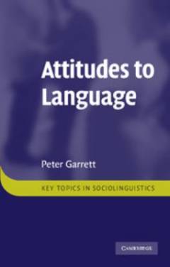 Attitudes to language