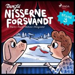 Den jul nisserne forsvandt : en julekrimi i 4 dele. 3. advent