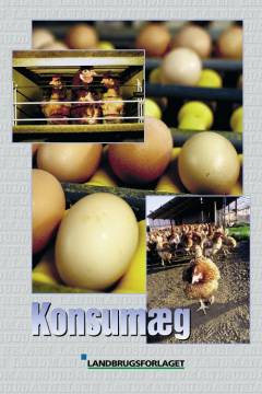 Bog, 1. udgave, 2001