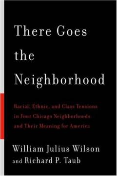 There goes the neighborhood : racial, ethnic, and class tensions in four Chicago neighborhoods and their meaning for America