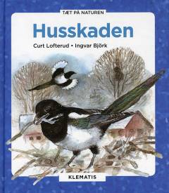 Husskaden