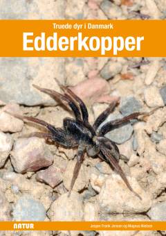 Edderkopper