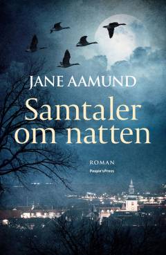 Samtaler om natten : erindringsroman