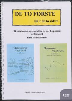 De to første bli'r de to sidste : Vintersol over Vejle Fjord : Stjernetegnet Vandbæreren