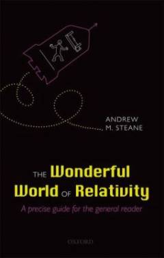 The wonderful world of relativity : a precise guide for the general reader