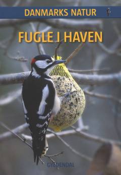 Fugle i haven