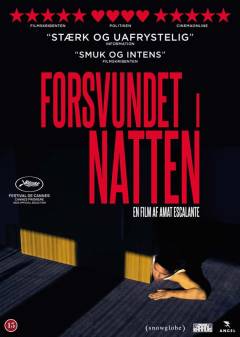 Forsvundet i natten