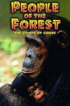 People of the forest