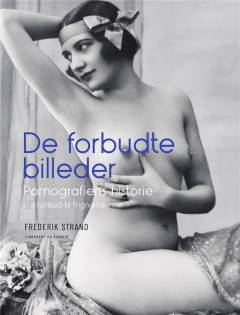 De forbudte billeder : pornografiens historie fra forbud til frigivelse