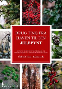 Brug ting fra haven til din julepynt : det kan du finde af materialer til dekorationer og kranse i din egen have