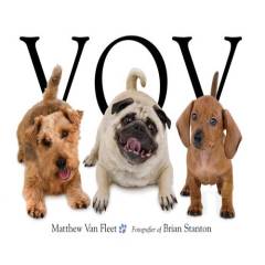 Billedbog, 2. udgave, 2013