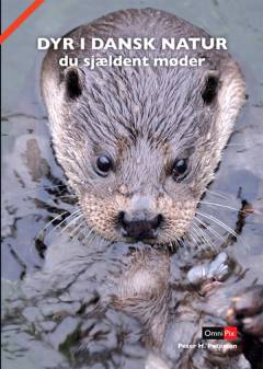 Dyr i dansk natur du sjældent møder