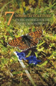 7 sommerfugleture : en begynderguide til danske sommerfugle