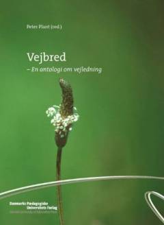 Vejbred : en antologi om vejledning