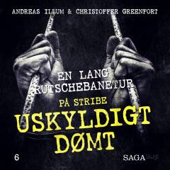 En lang rutschebanetur - Rodney R. Reed