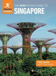 The mini rough guide to Singapore