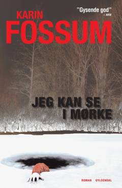 Jeg kan se i mørke : kriminalroman