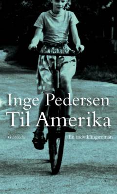 Til Amerika : en indviklingsroman
