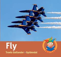 Fly