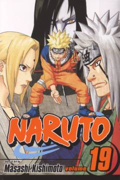 Naruto. Volume 19 : Successor