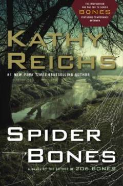 Spider bones
