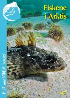 Fiskene i Arktis